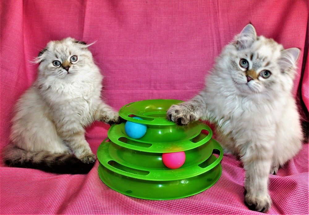 Photograph by Ольга Митрофанова