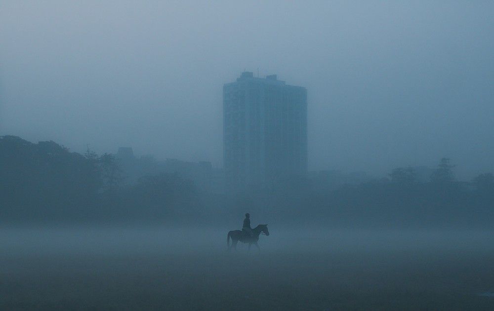 The horseman
