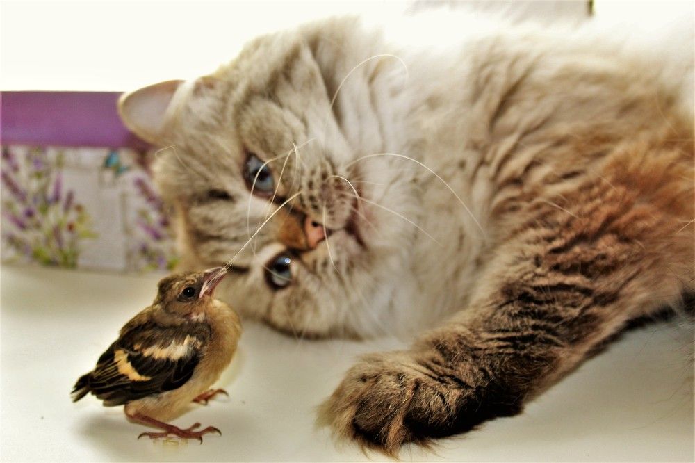 Photograph by Ольга Митрофанова