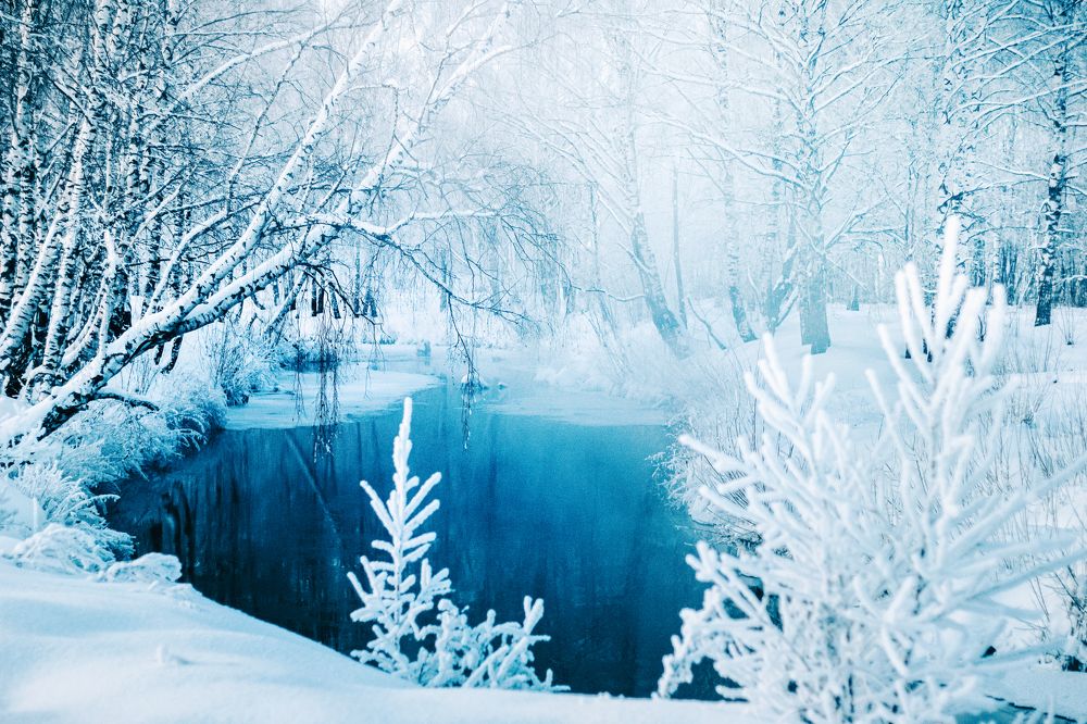 Photograph by Полина Каменкова