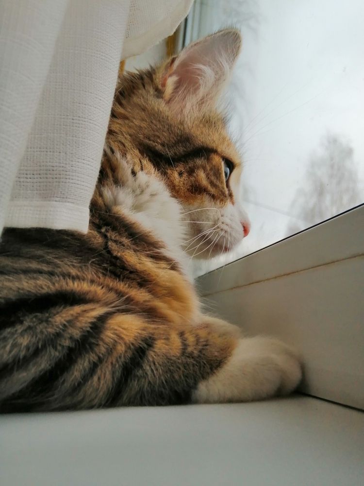 Photograph by Мария