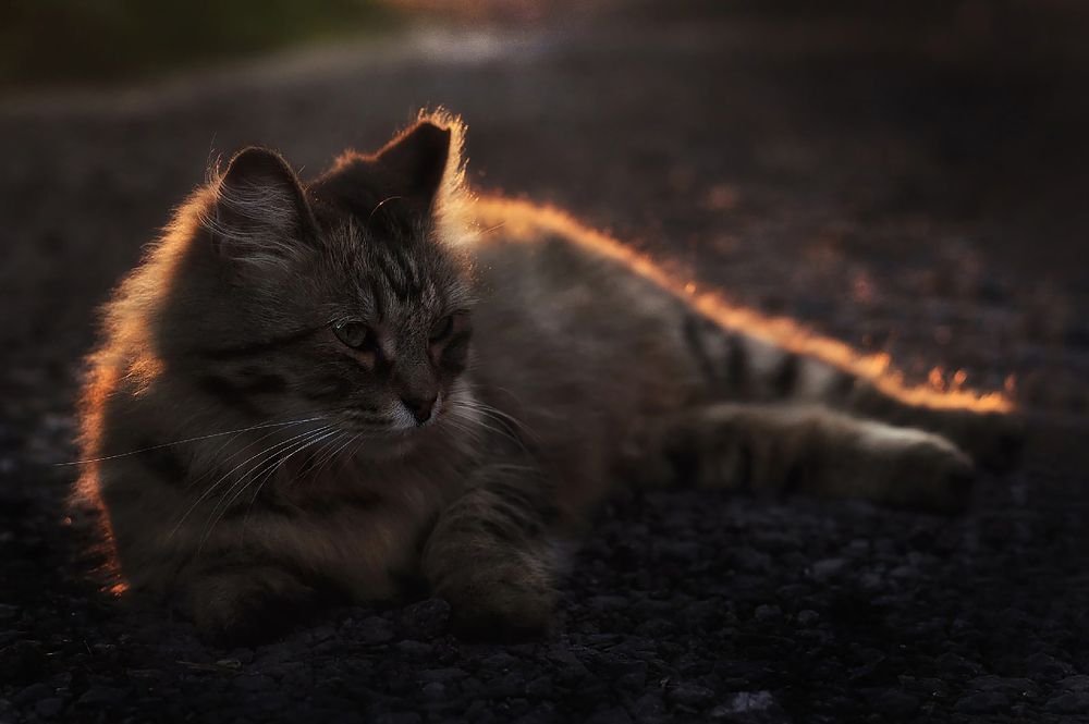 Photograph by Наталья Сотина