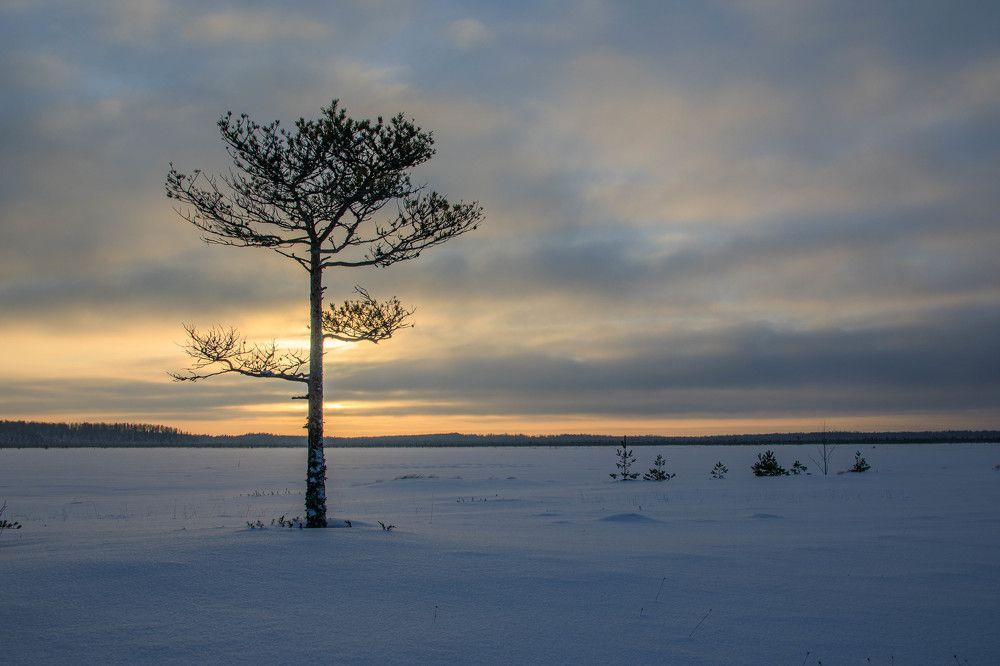 Photograph by Владимир Копков
