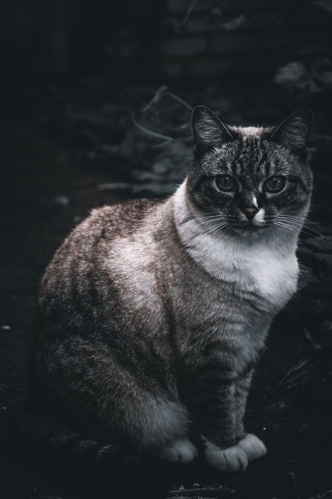 Photograph by Кристина Полякова