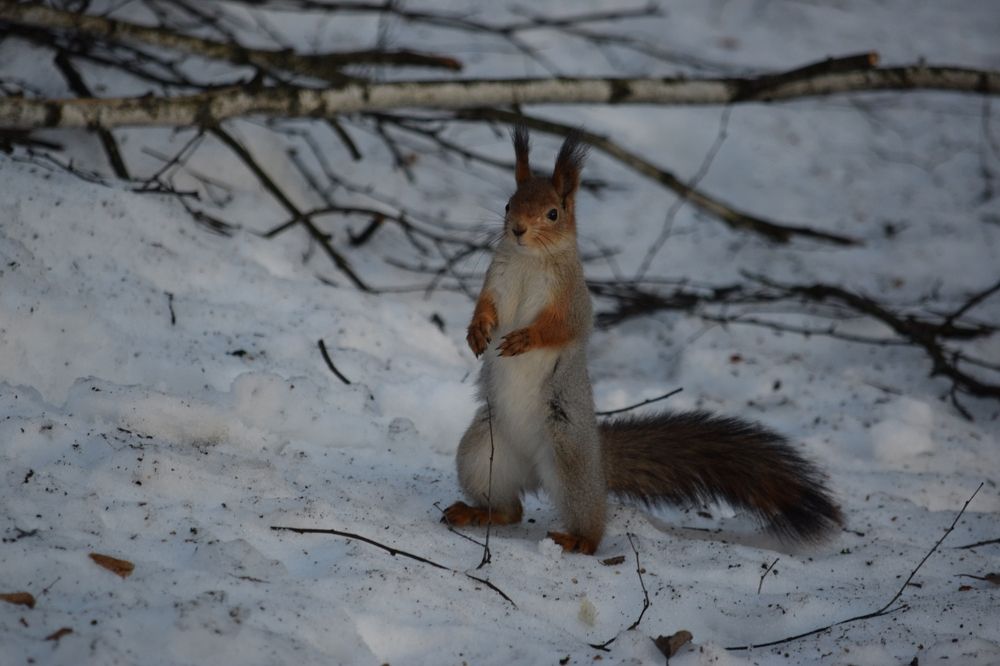 Photograph by Андрей Денисов