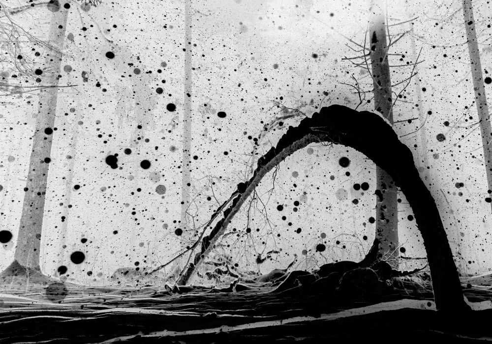 Photograph by Boris Malyshev