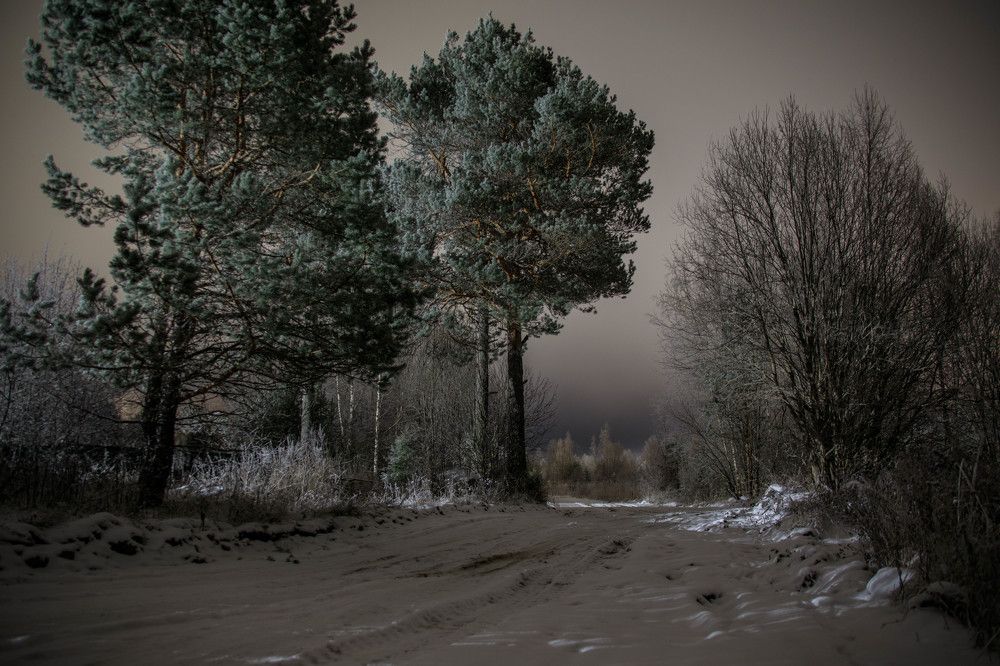 Photograph by Владимир Копков