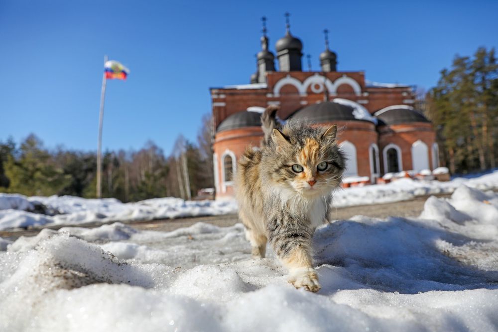 Photograph by Михаил Кинеев