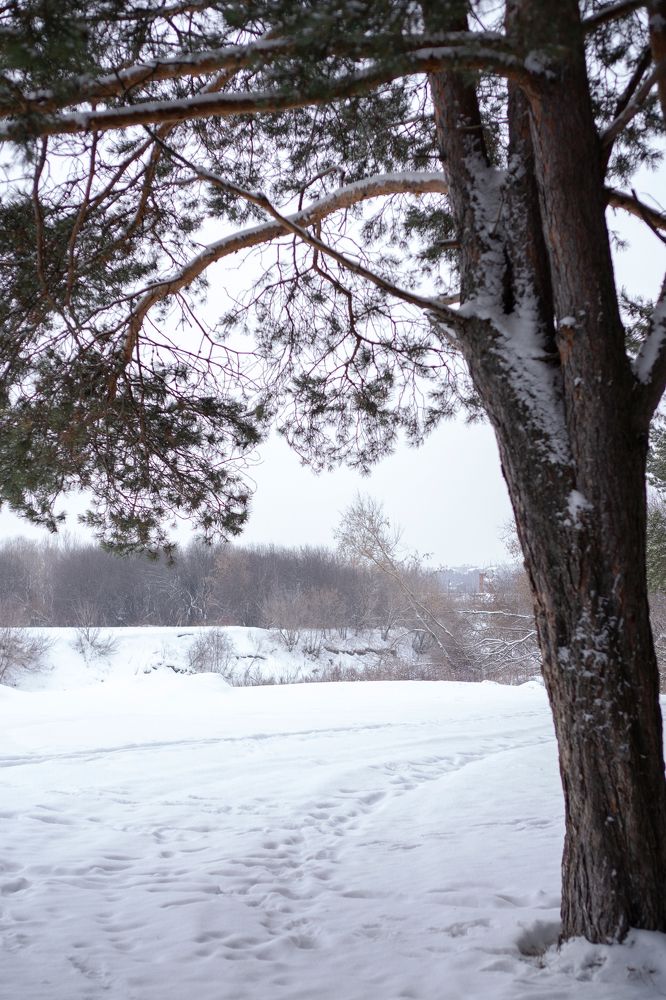 Photograph by Анжелла Антоновская