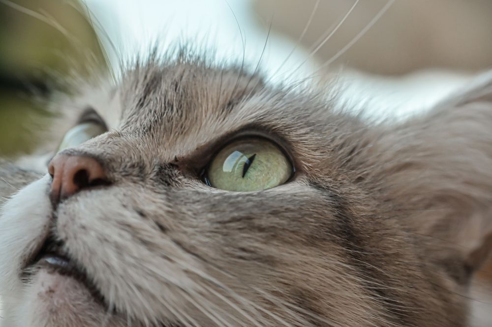 Photograph by Vladislav Srebniak