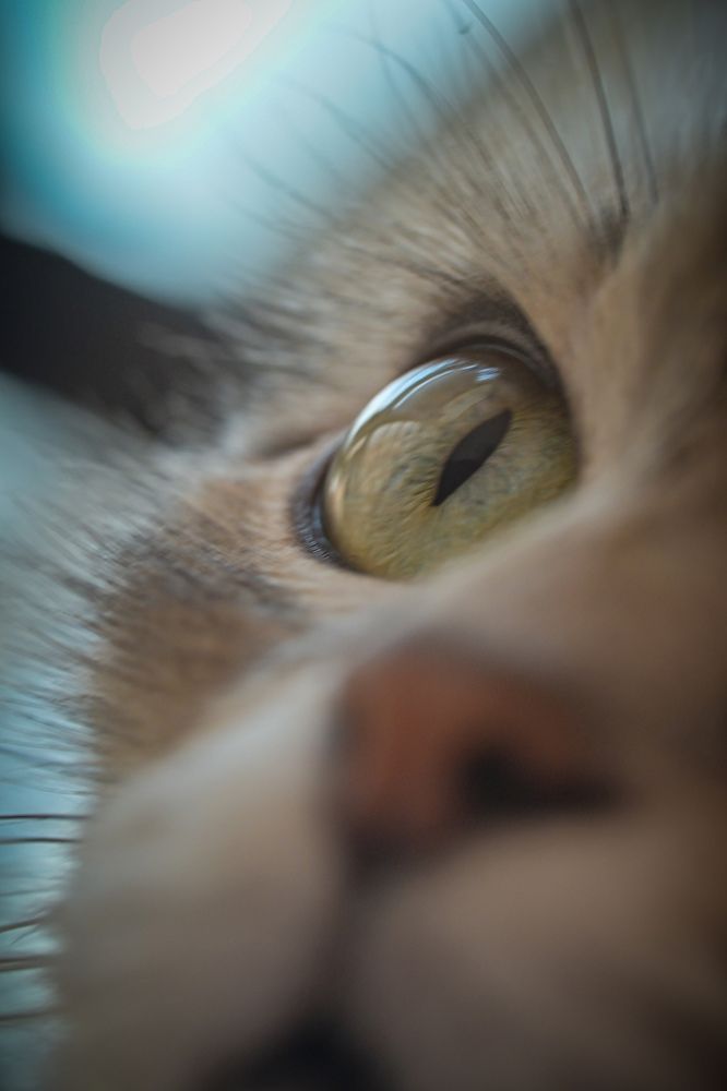 Photograph by Vladislav Srebniak