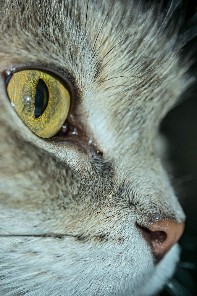 Photograph by Vladislav Srebniak