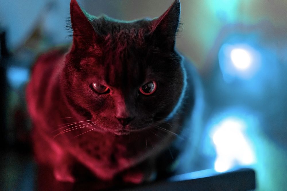 Photograph by Руслан Аверкин