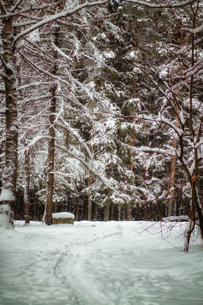 Photograph by Любовь Морозова