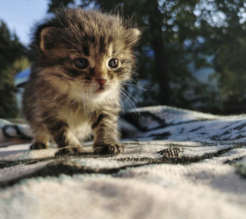 Photograph by Ева Мельникова