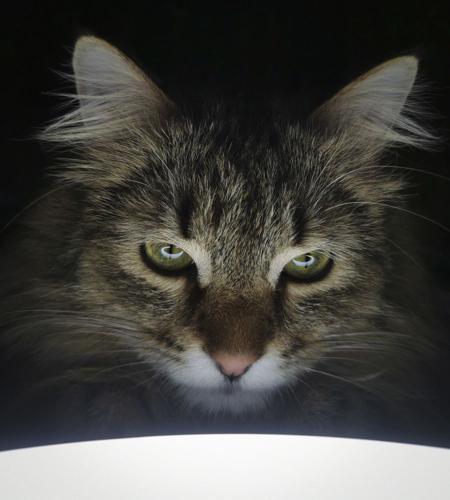 Photograph by Ева Мельникова