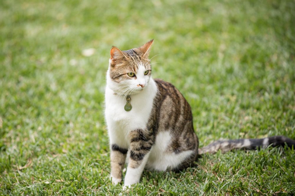 Photograph by Antony Trivet