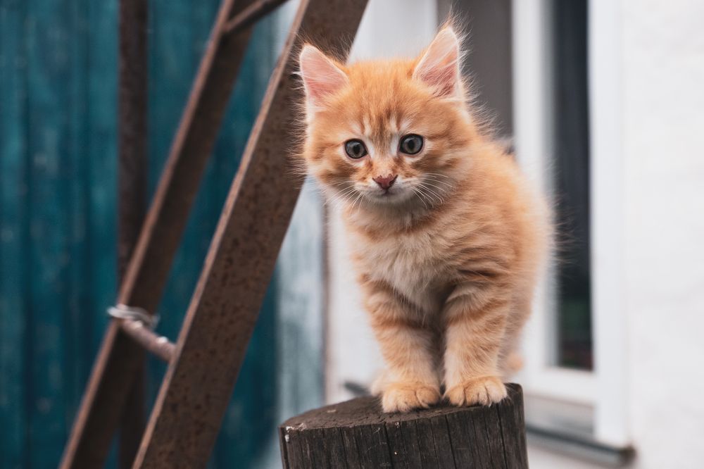 Photograph by Алексей Хасанов