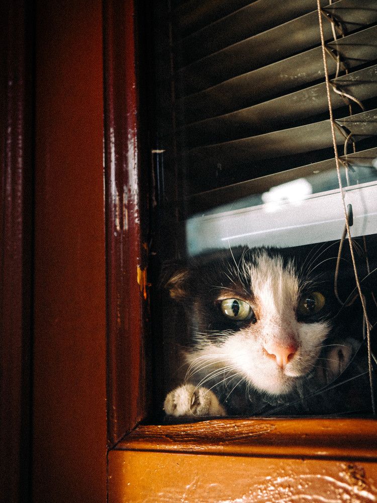 Photograph by Enes Bayraktar