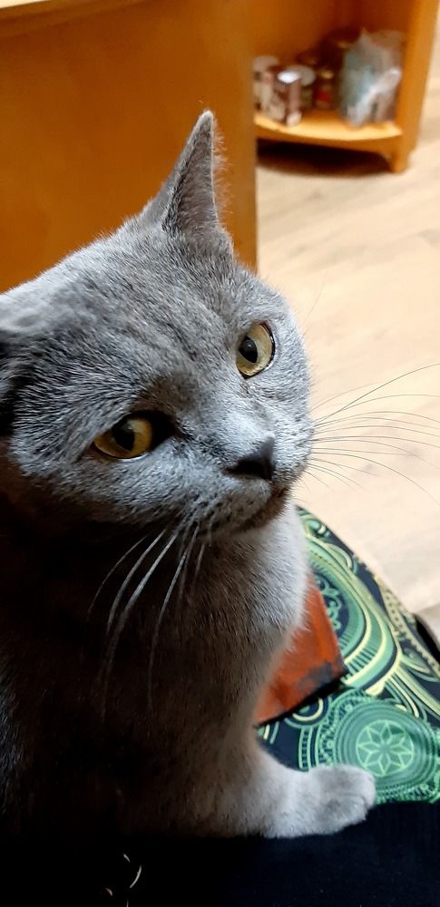 Photograph by Svetlana Nemontova