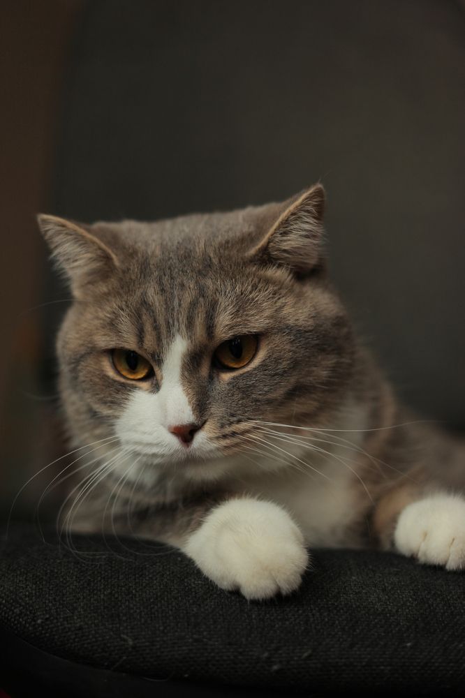 Photograph by Анастасия Кот