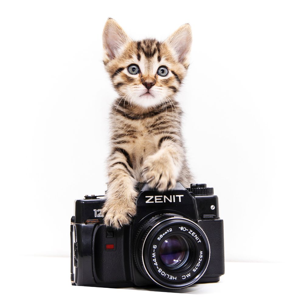 Photograph by Марина Александрова