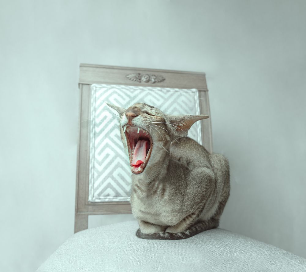 Photograph by Taтьяна Войлокова