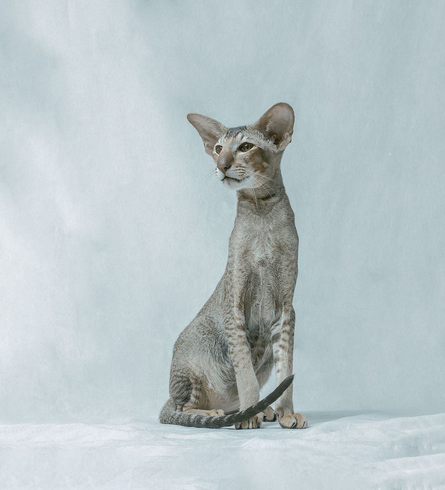 Photograph by Taтьяна Войлокова