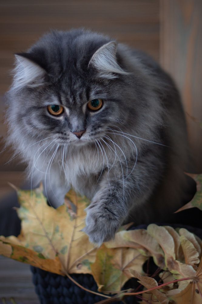 Photograph by Наталья Горохова