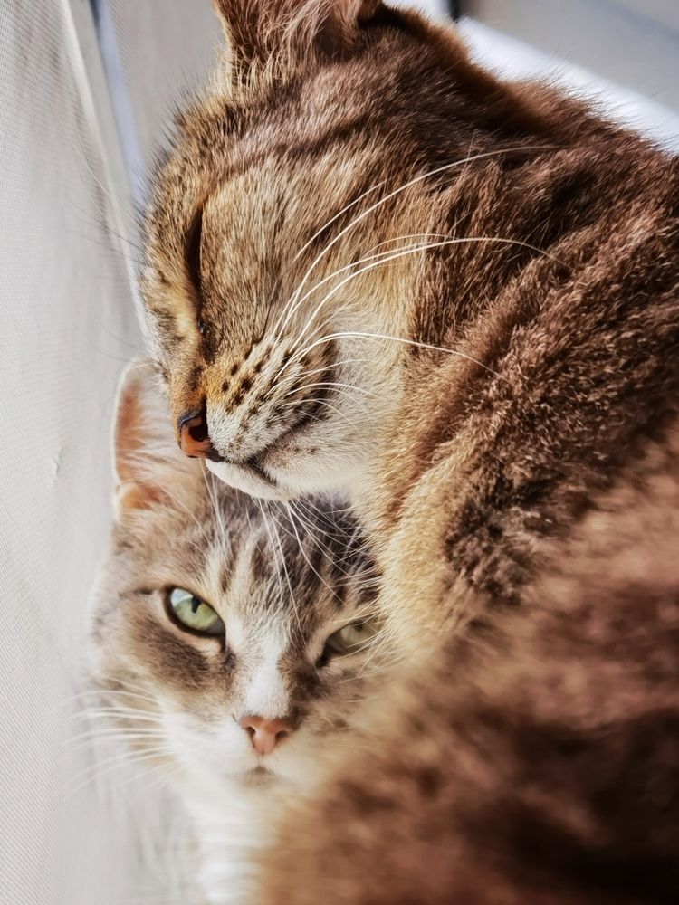 Photograph by Константин Пешков