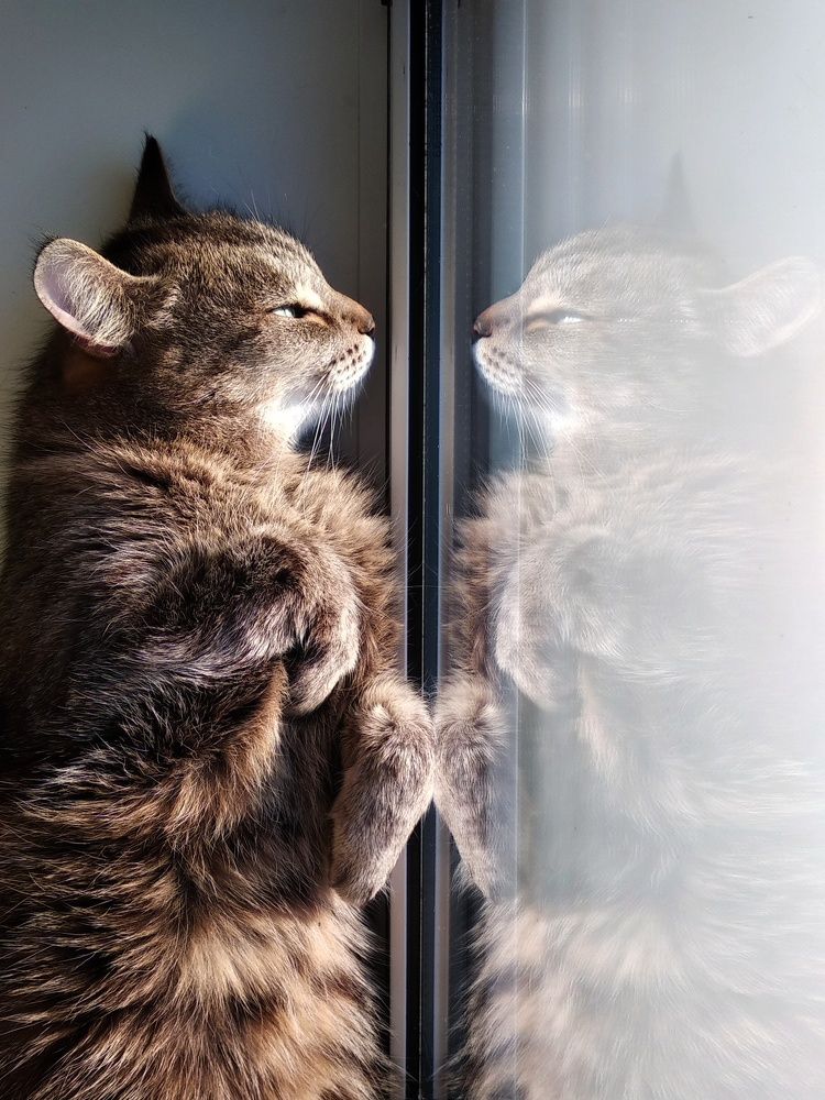 Photograph by Константин Пешков