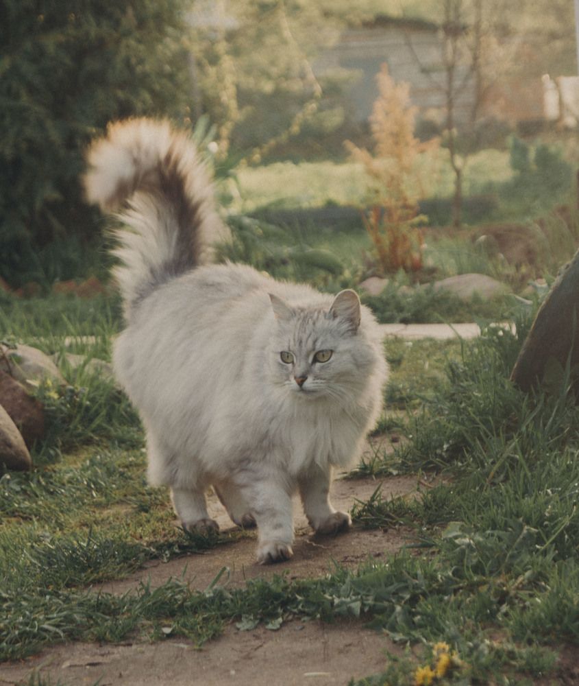 Photograph by Веденин Егор