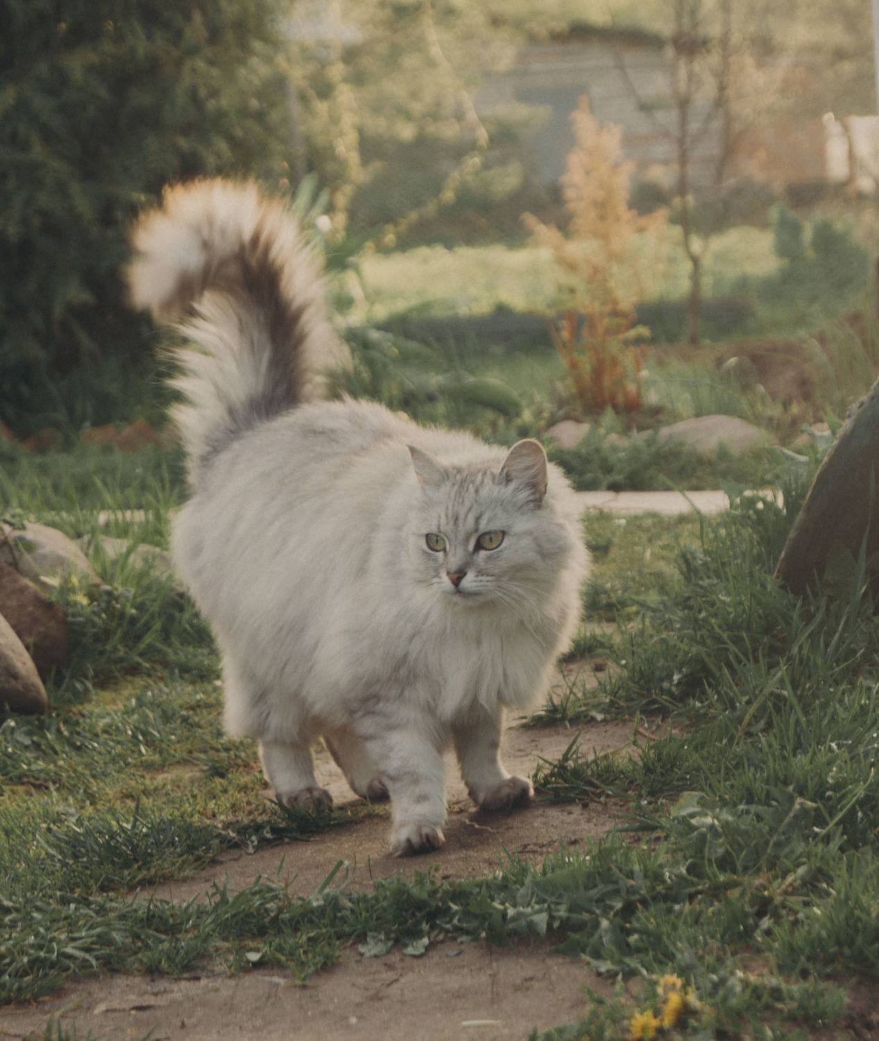 Photo #8639811