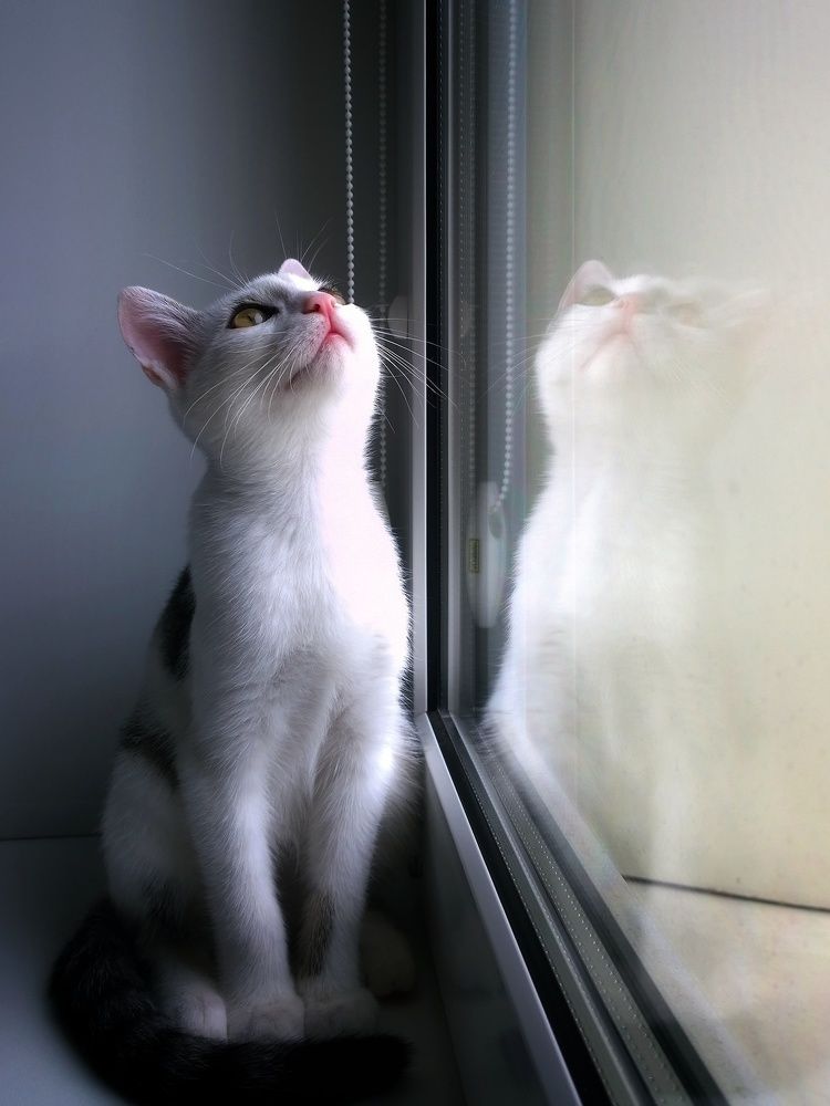 Photograph by Константин Пешков