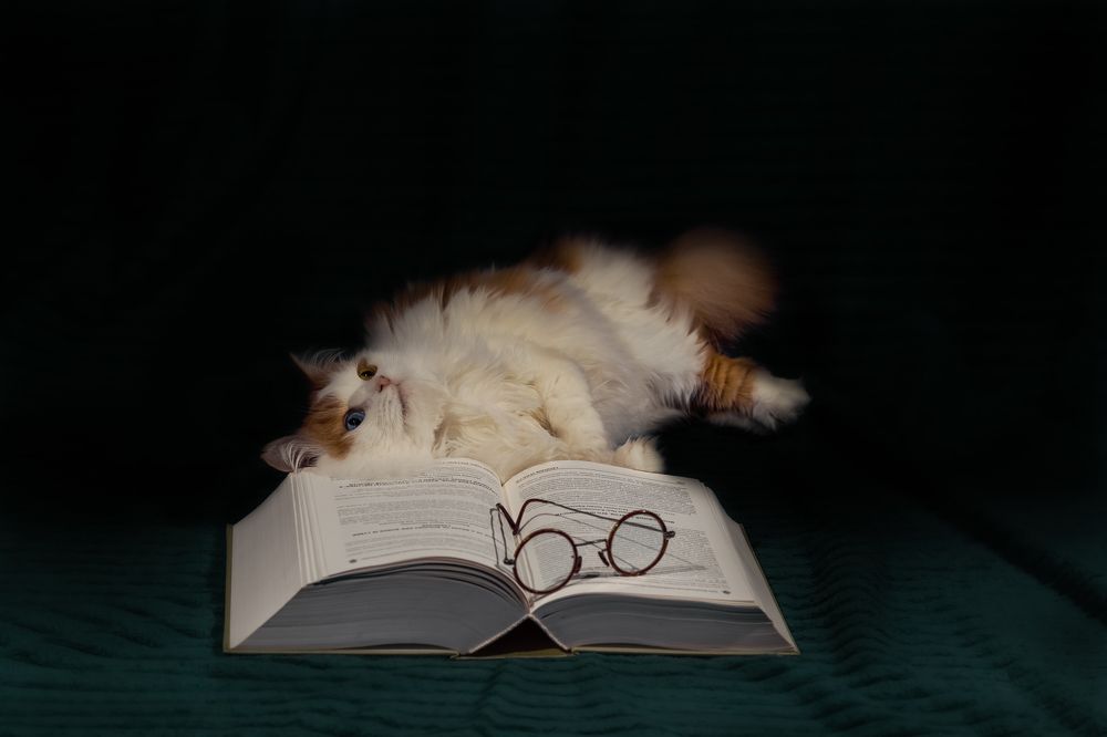 Photograph by Alexander Semenko