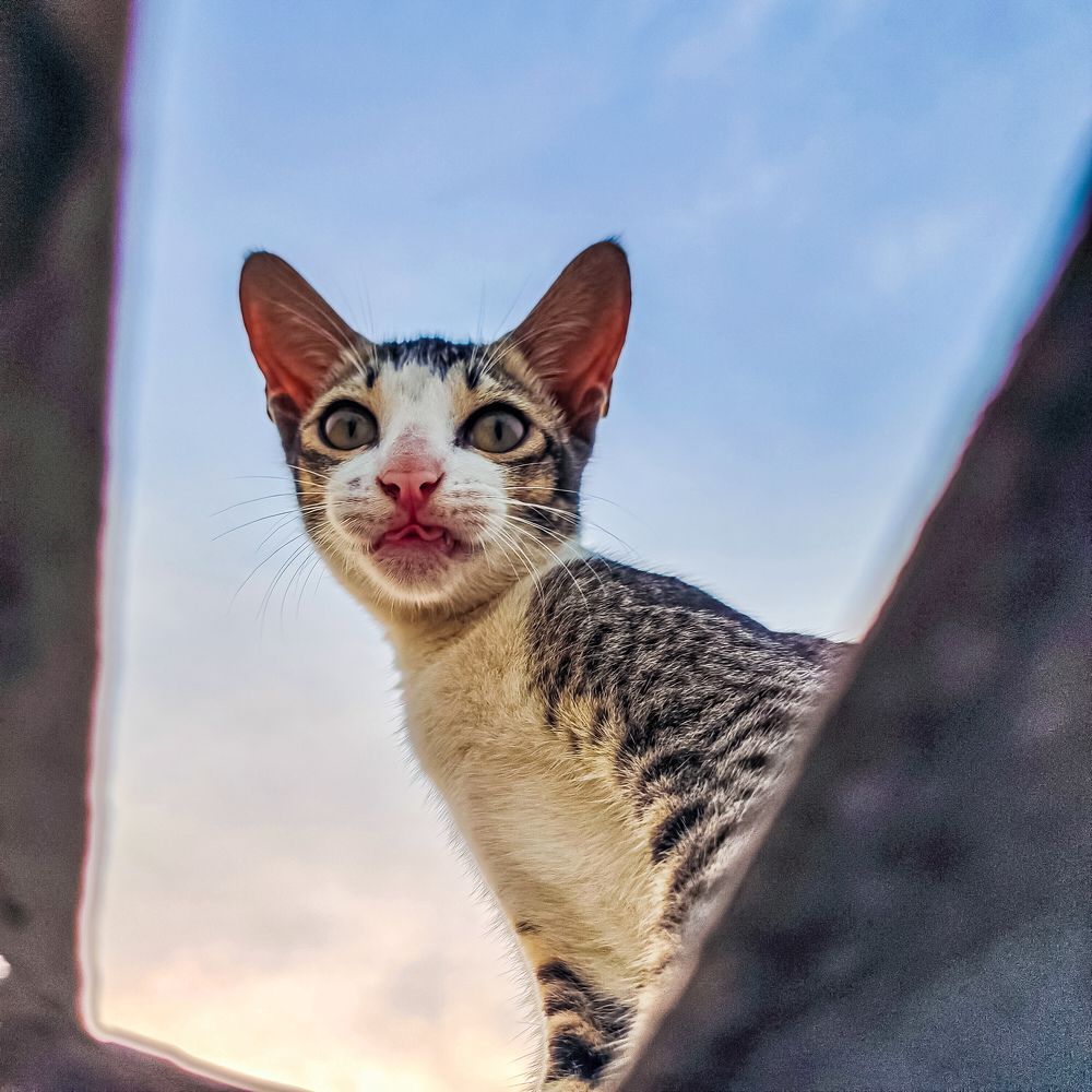 Photograph by Abhilash Sahoo