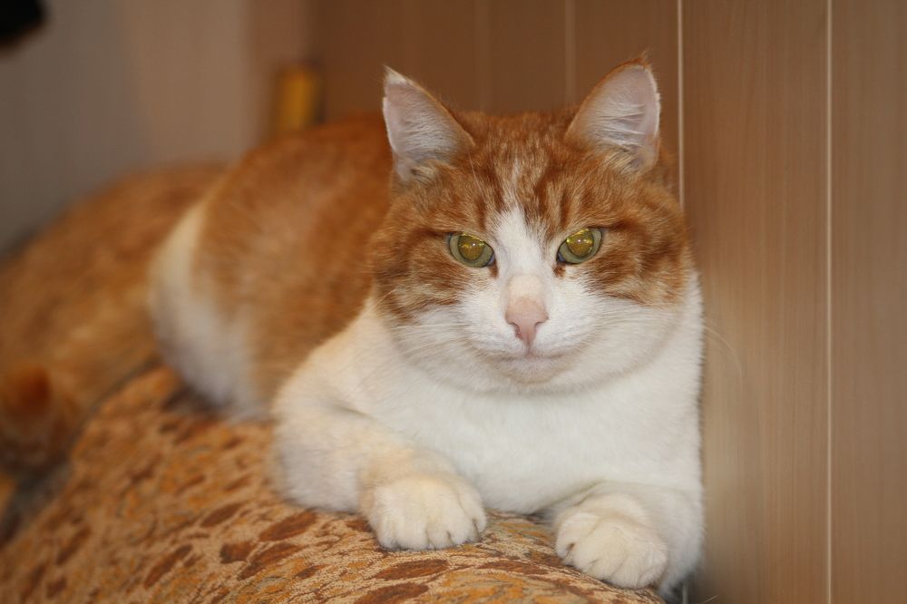 Photograph by Елизавета Мишина