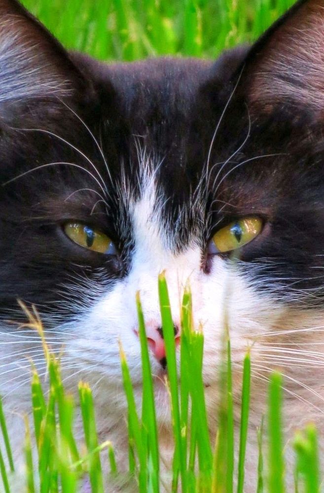 Фотография автора Марина Алексеевская