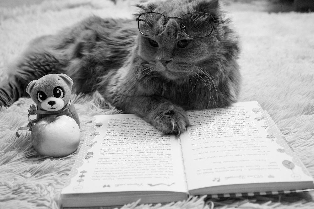 Photograph by Алина Байчурина