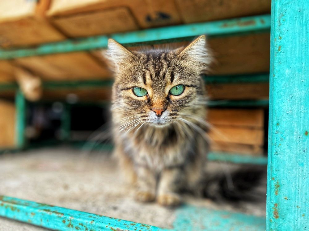 Photograph by Яковлева Лора Алексеевна