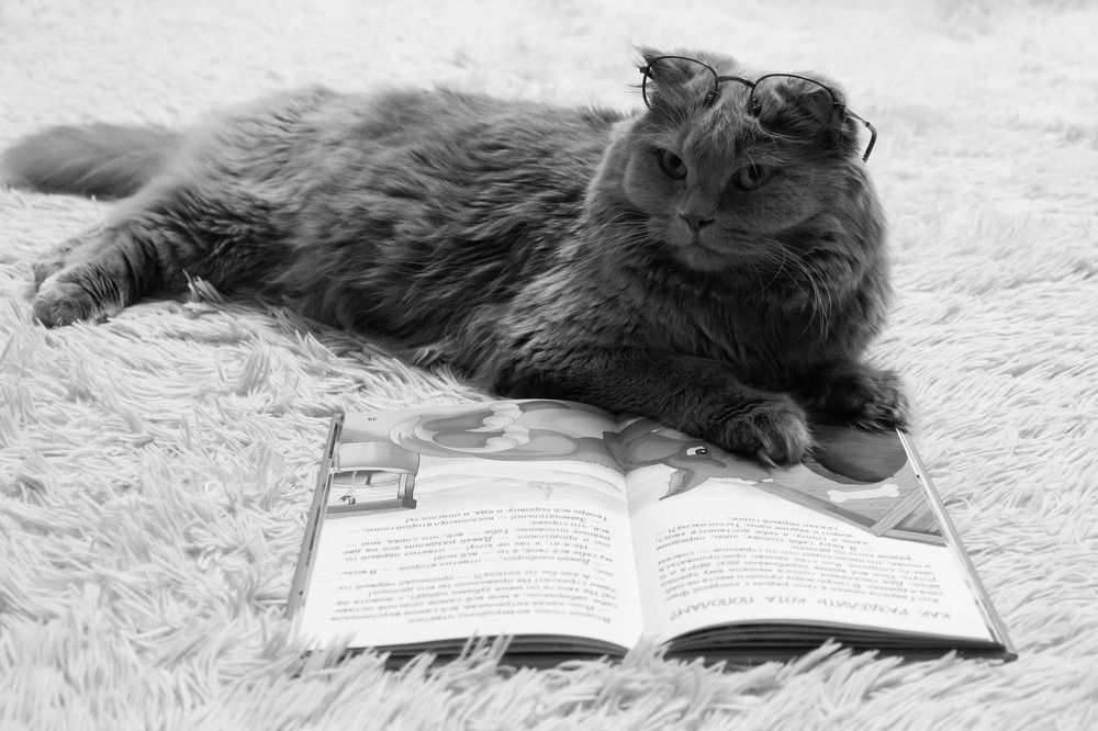 Photograph by Алина Байчурина