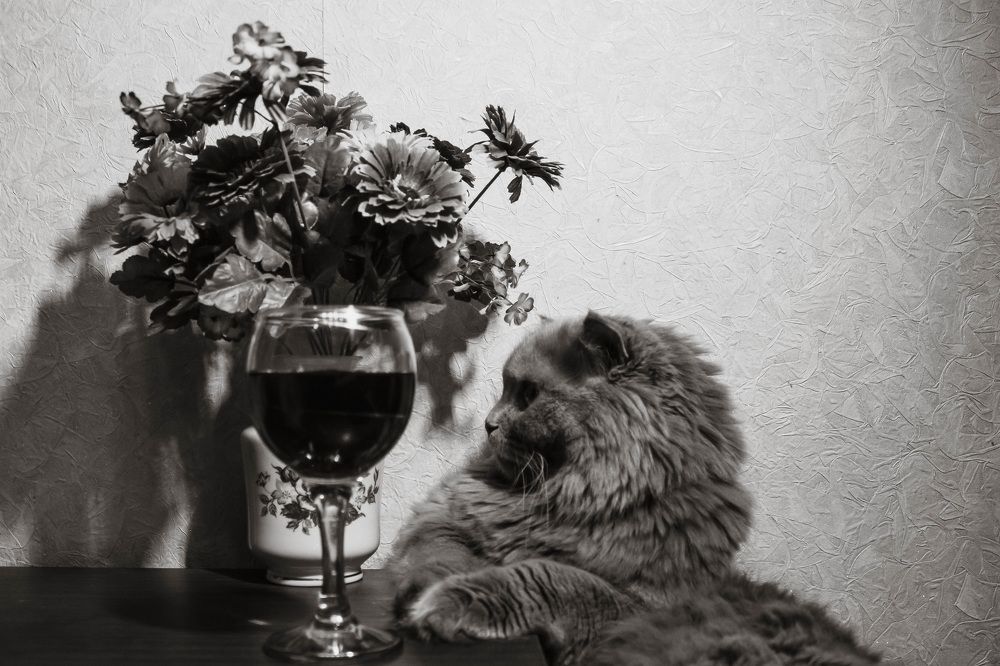 Photograph by Алина Байчурина