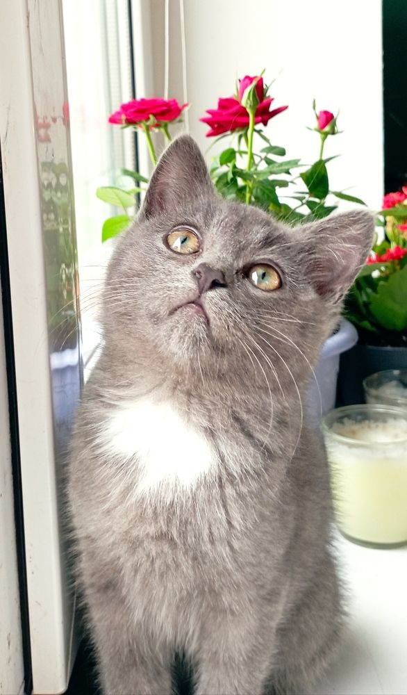 Photograph by Олеся Жакова