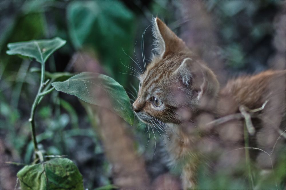Photograph by Александр Стрельченко