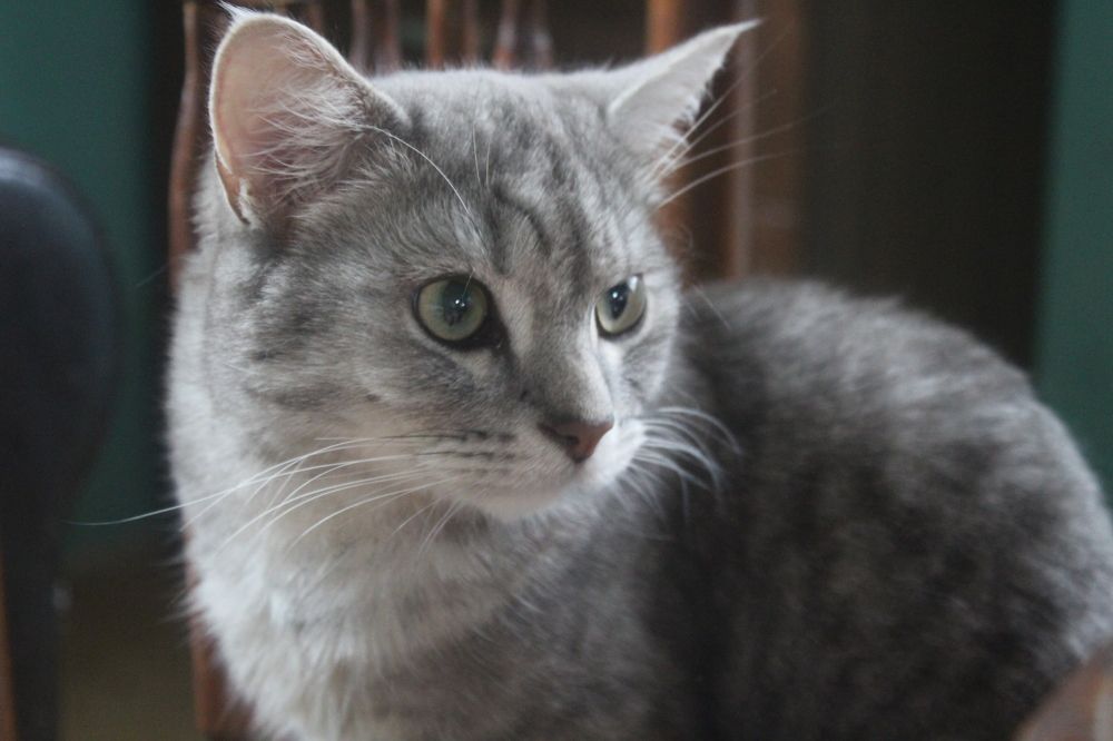 Photograph by Олеся Жакова