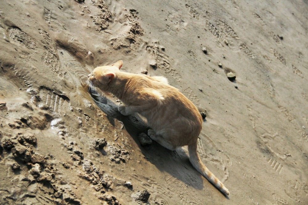 Photograph by Анна Березина