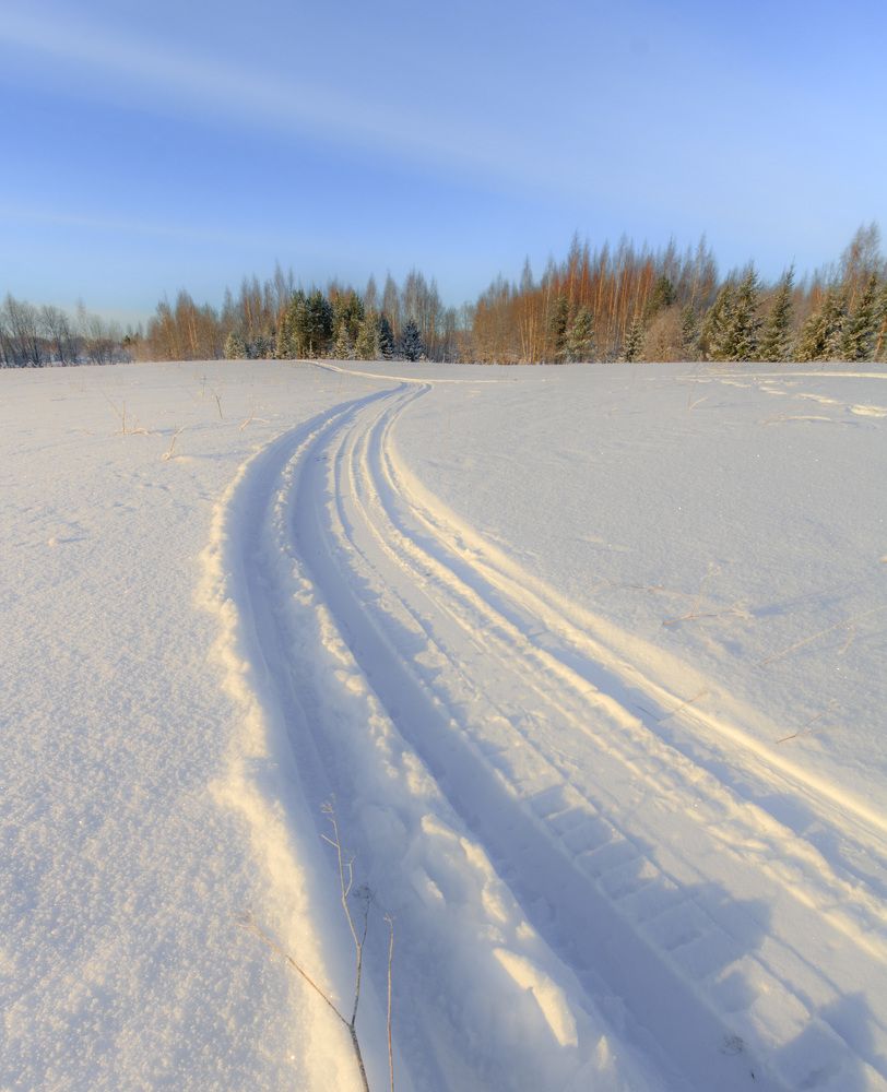 Photograph by NIKITA LUFEROV