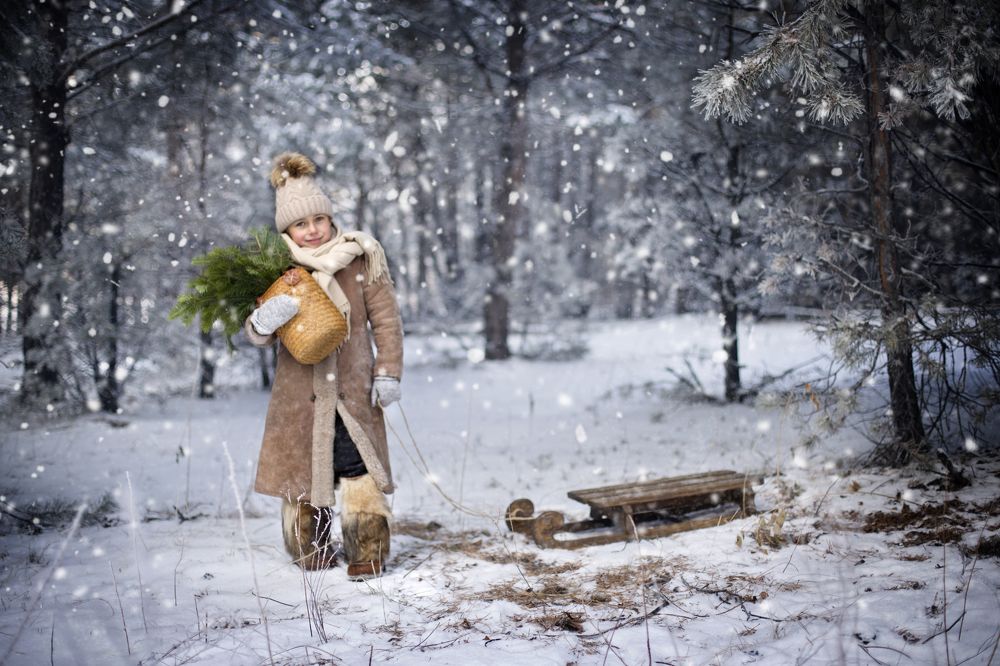 Фотография автора Шутенкова Евгения