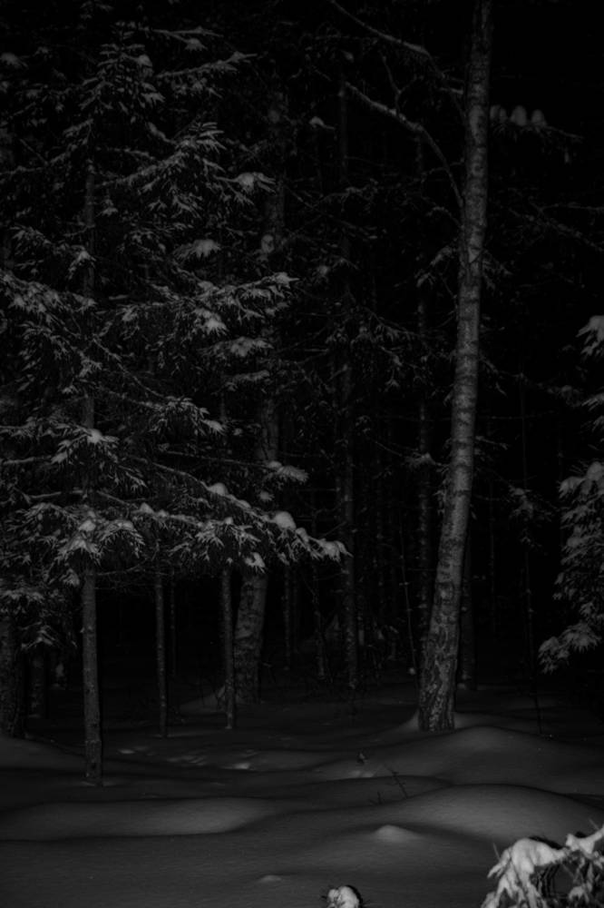 Зима под другим углом