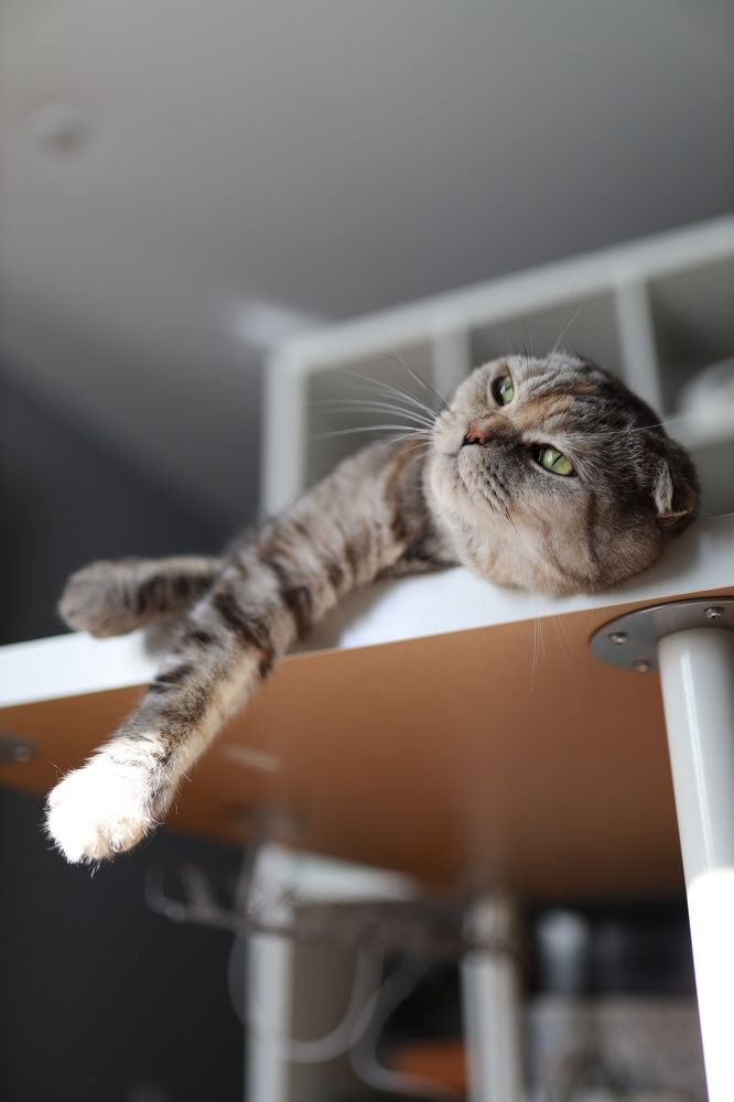 Photograph by Евгения Цыганова